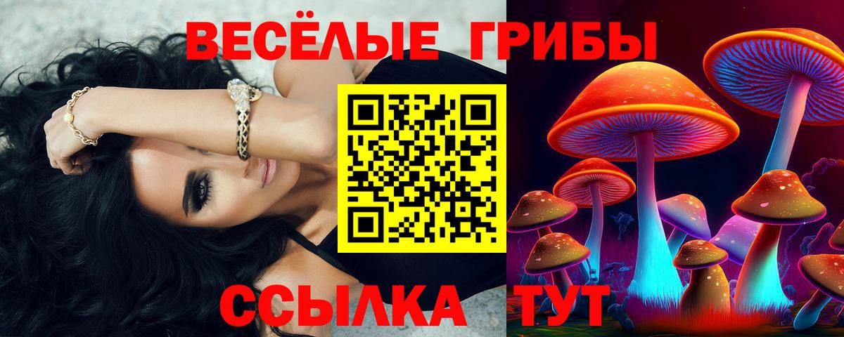 Псилоцибиновые грибы MAGIC MUSHROOMS  Вход с VPN  Фурманов  Псилоцибиновые грибы мицелий 
