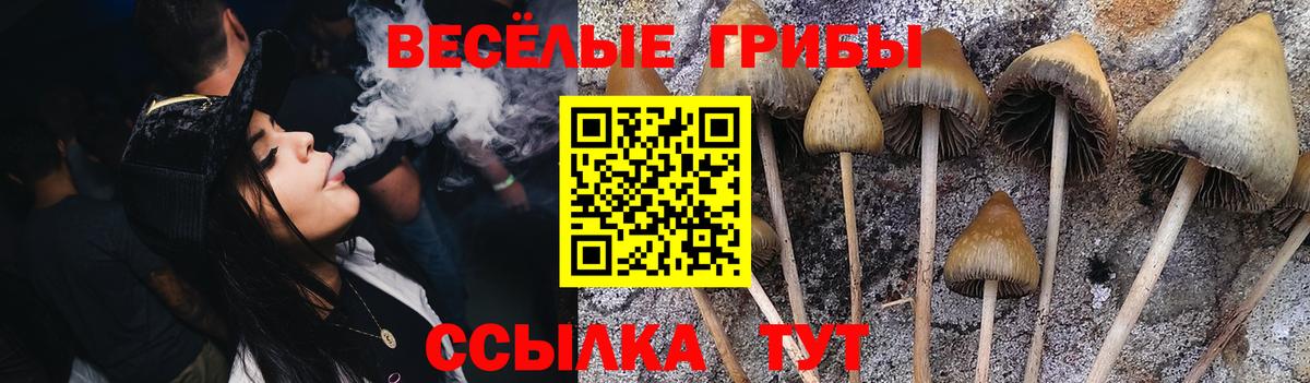 Галлюциногенные грибы Magic Shrooms Фурманов