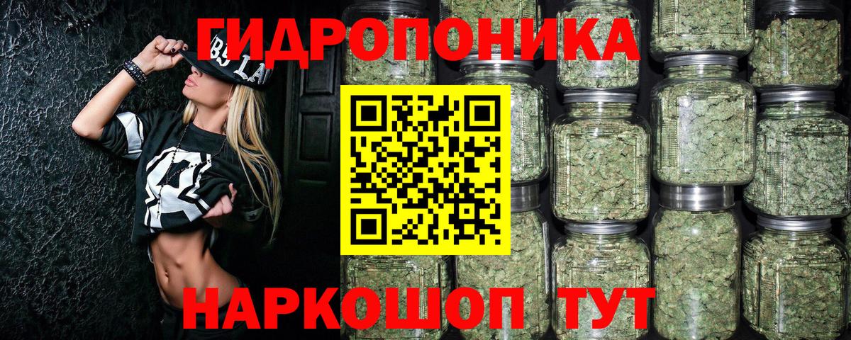 Канабис сатива Фурманов